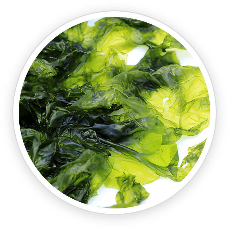 aquapeace ingredients