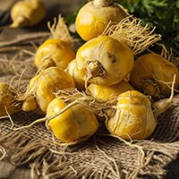 glucotonic ingredients