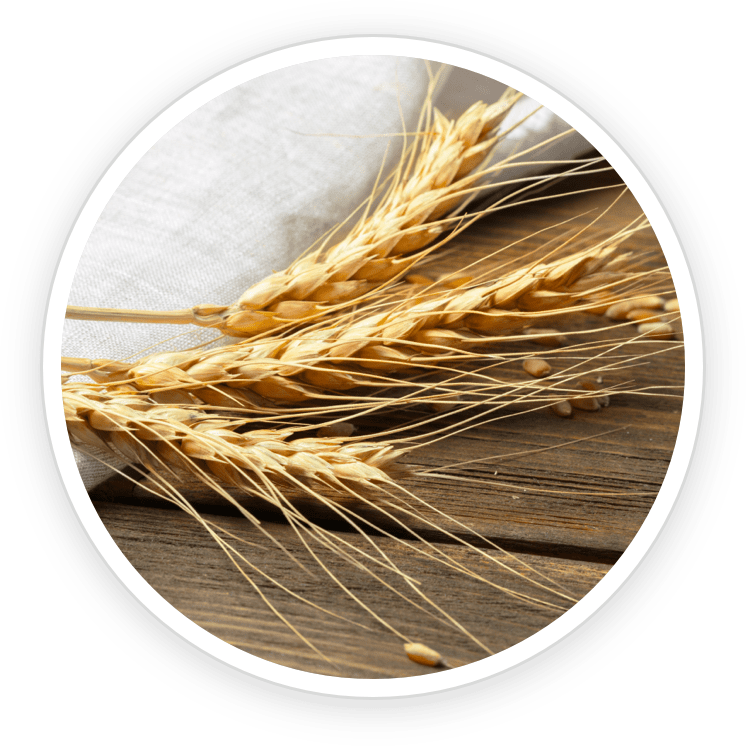 FlowForce Max ingredients