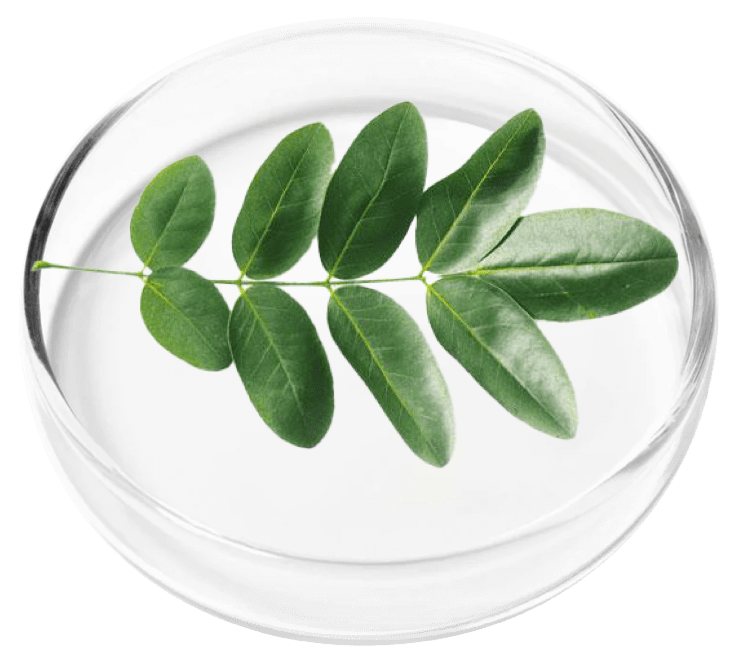 reviva glow ingredients