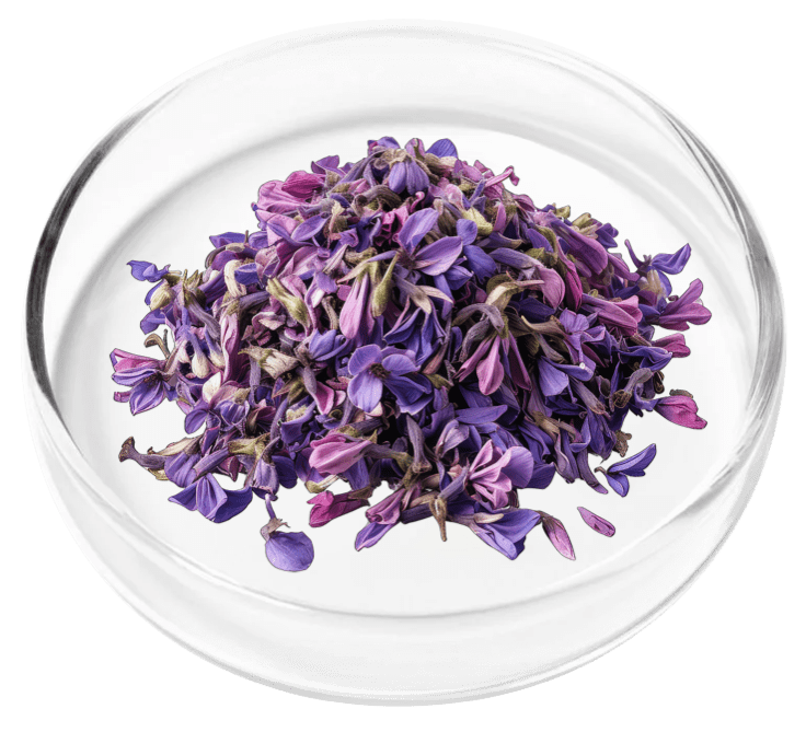 nervovive natural ingredients