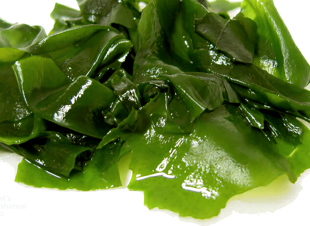 orexiburn ingredients