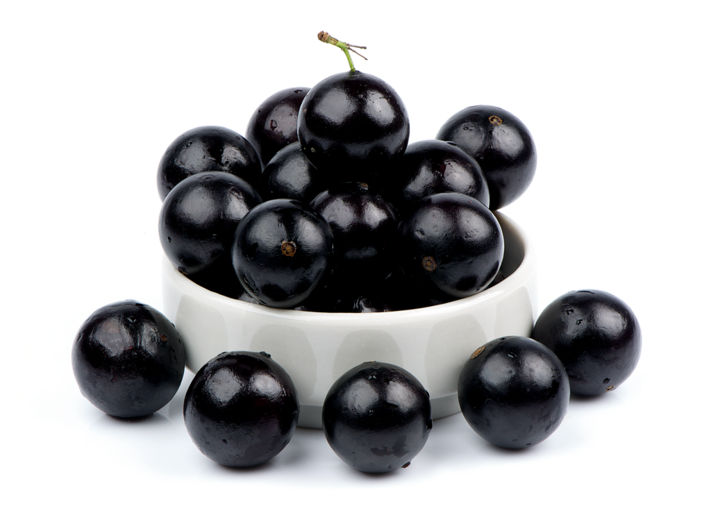 orexiburn ingredients