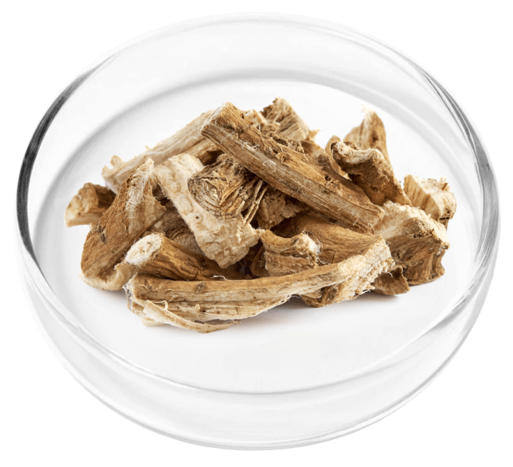 reviva glow ingredients