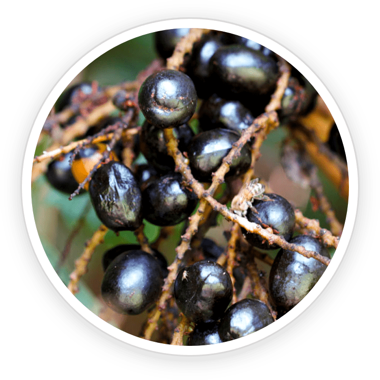 FlowForce Max ingredients