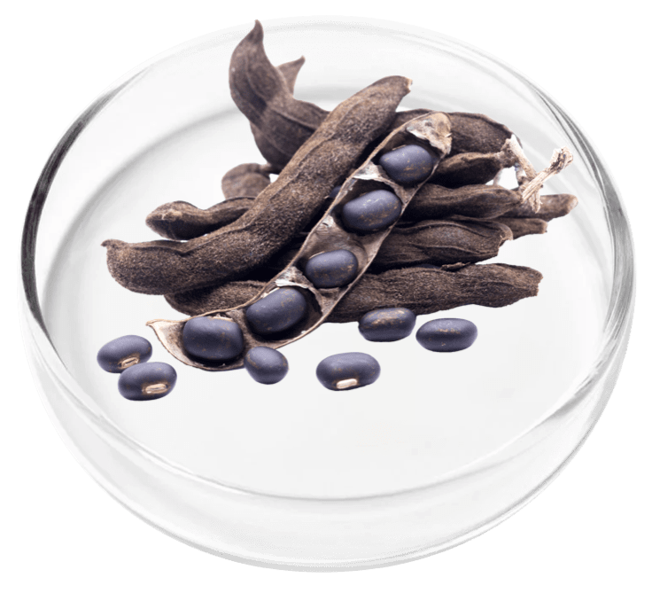 reviva glow ingredients