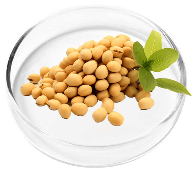 reviva glow ingredients