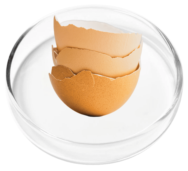 reviva glow ingredients