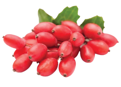 DentaSmile Pro ingredients