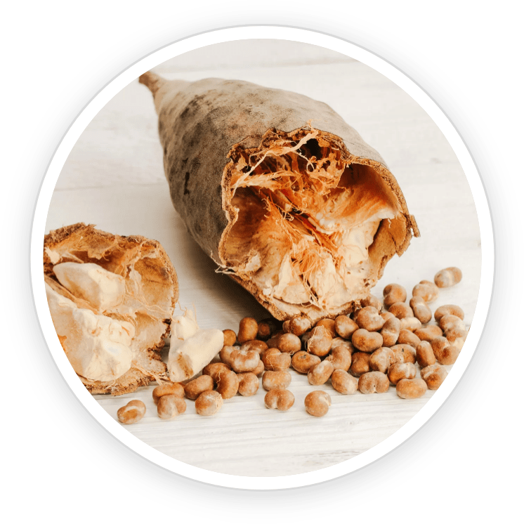 DigestSync natural ingredients