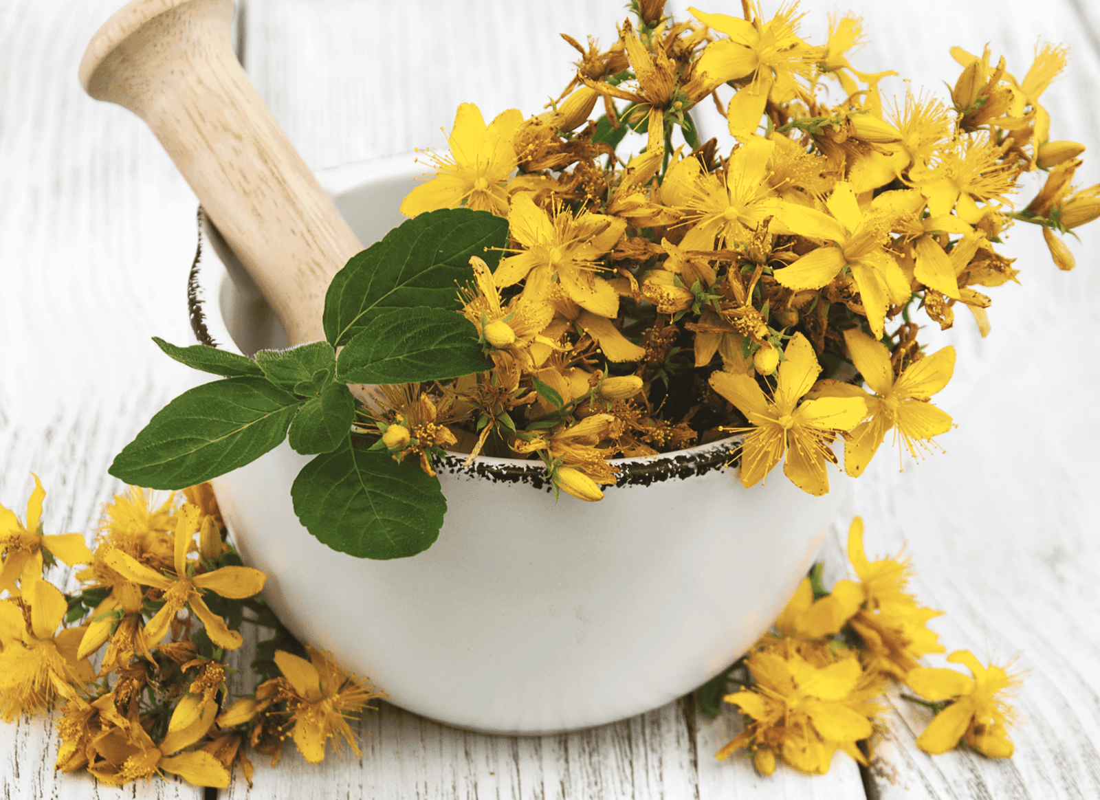 tribalforce x ingredients