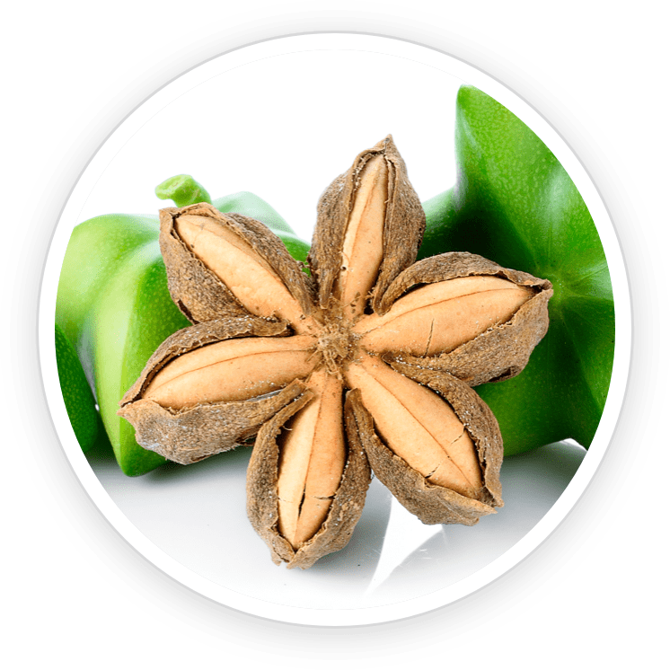 ReFirmance ingredients