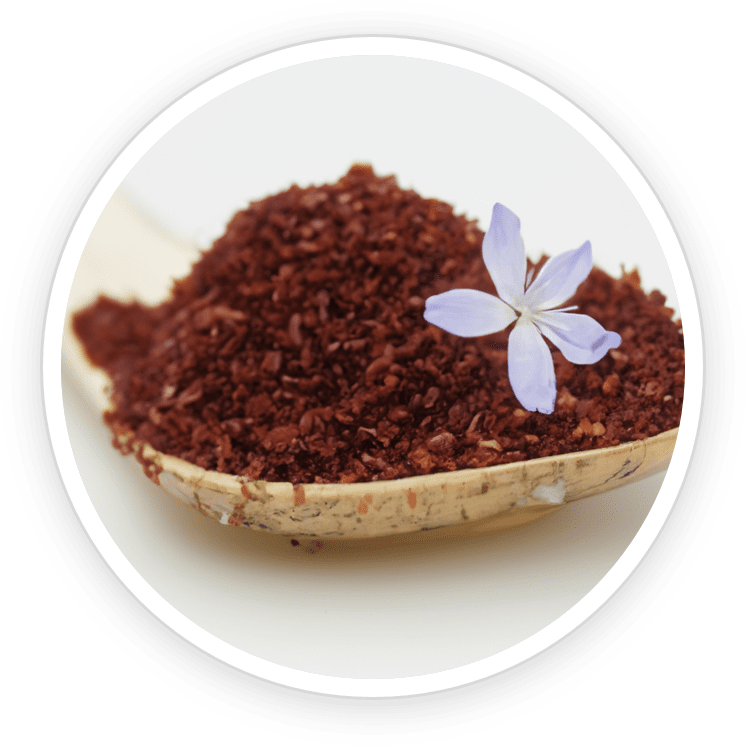 ReFirmance ingredients