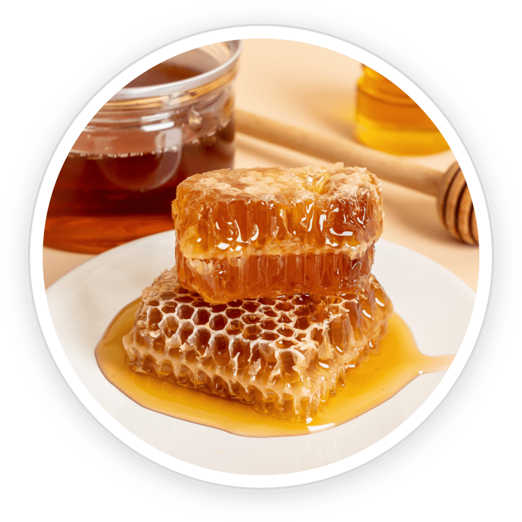 dentatonic ingredients