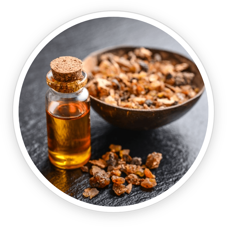 Powerbite natural supplement ingredients