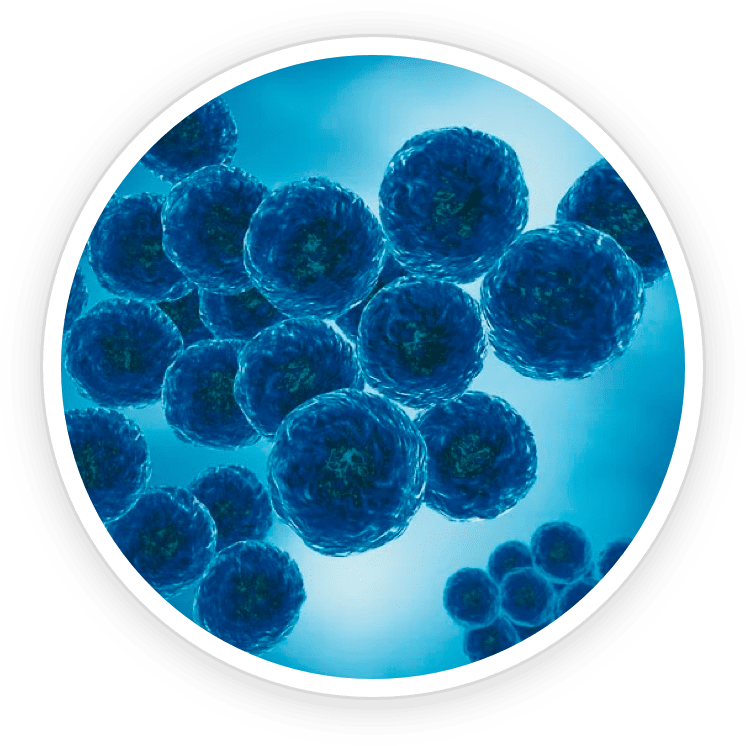 ReFirmance ingredients