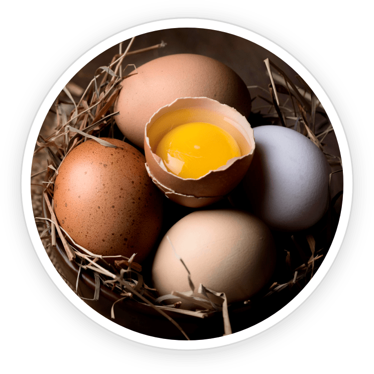 dentatonic ingredients