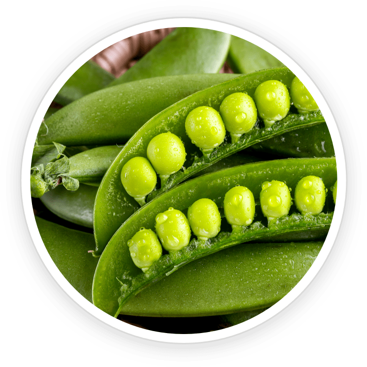 DigestSync natural ingredients