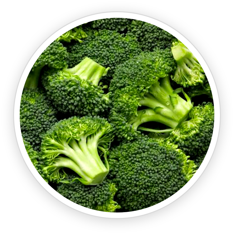 Fast Lean Pro natural ingredients