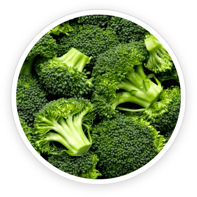 denticore ingredients