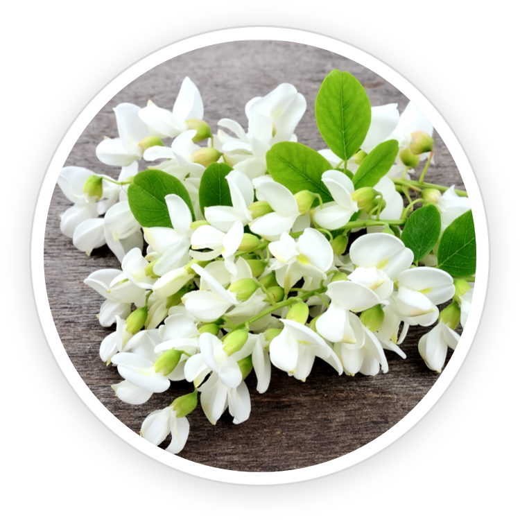 Fast Lean Pro natural ingredients