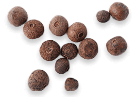 biodynamix joint genesis ingredients