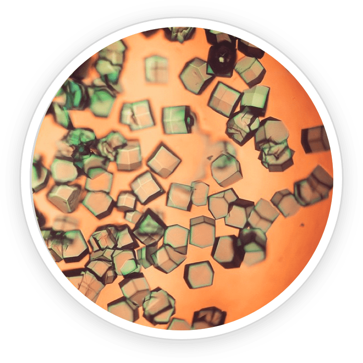 Powerbite natural supplement ingredients