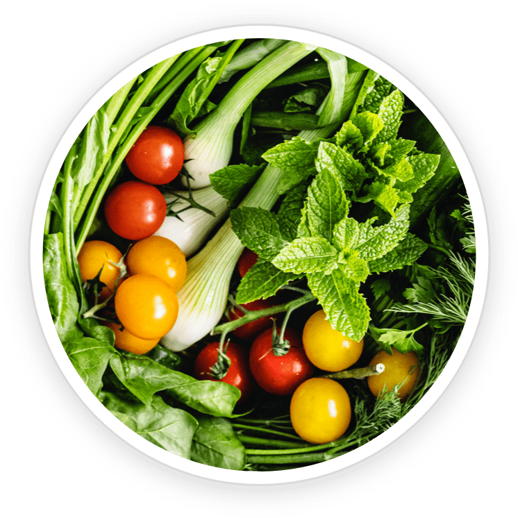 denticore ingredients