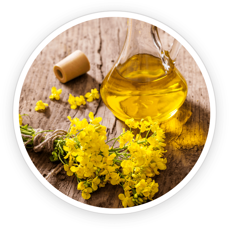 ProNail Complex ingredients