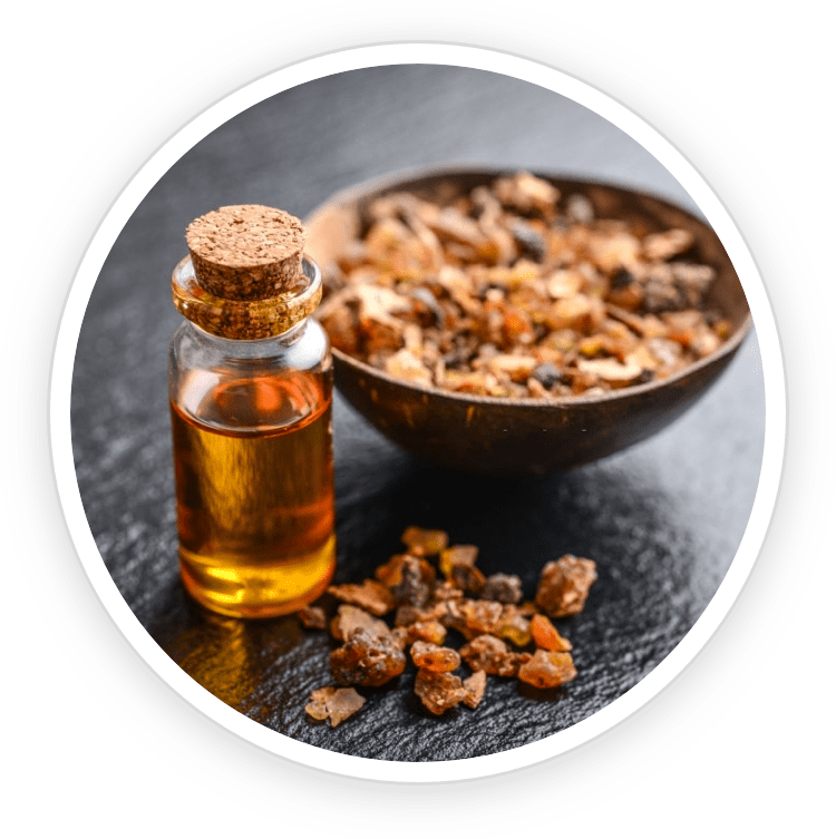 FortBite natural ingredients