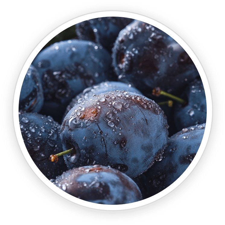 GutOptim natural ingredients