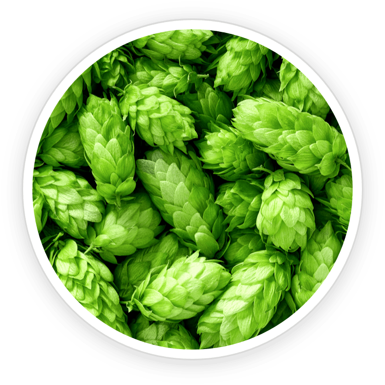 Illuderma ingredients