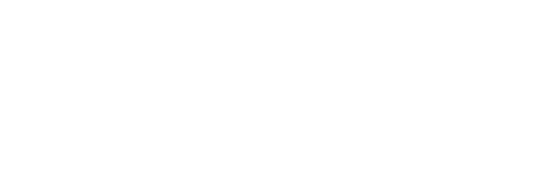 FlowForce Max logo